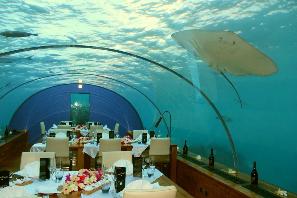 Подводный ресторан "Ithaa" на Мальдивах