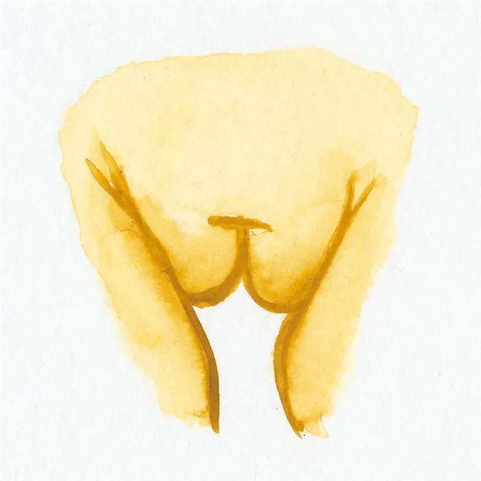 8-different-types-of-vulvas-1