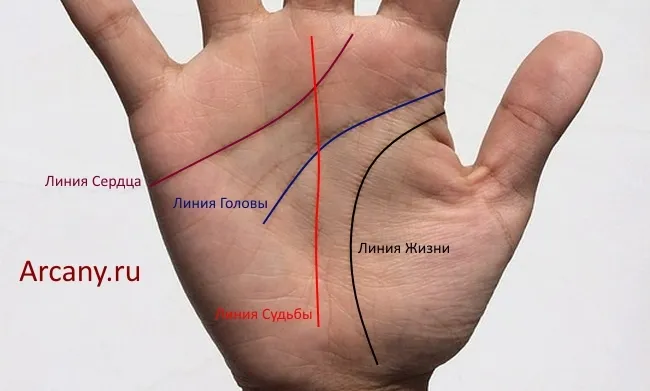 Значение буквы М на ладонях правой и левой рук в хиромантии